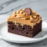 Reeses Peanut Butter Chocolate Cake - featured image
