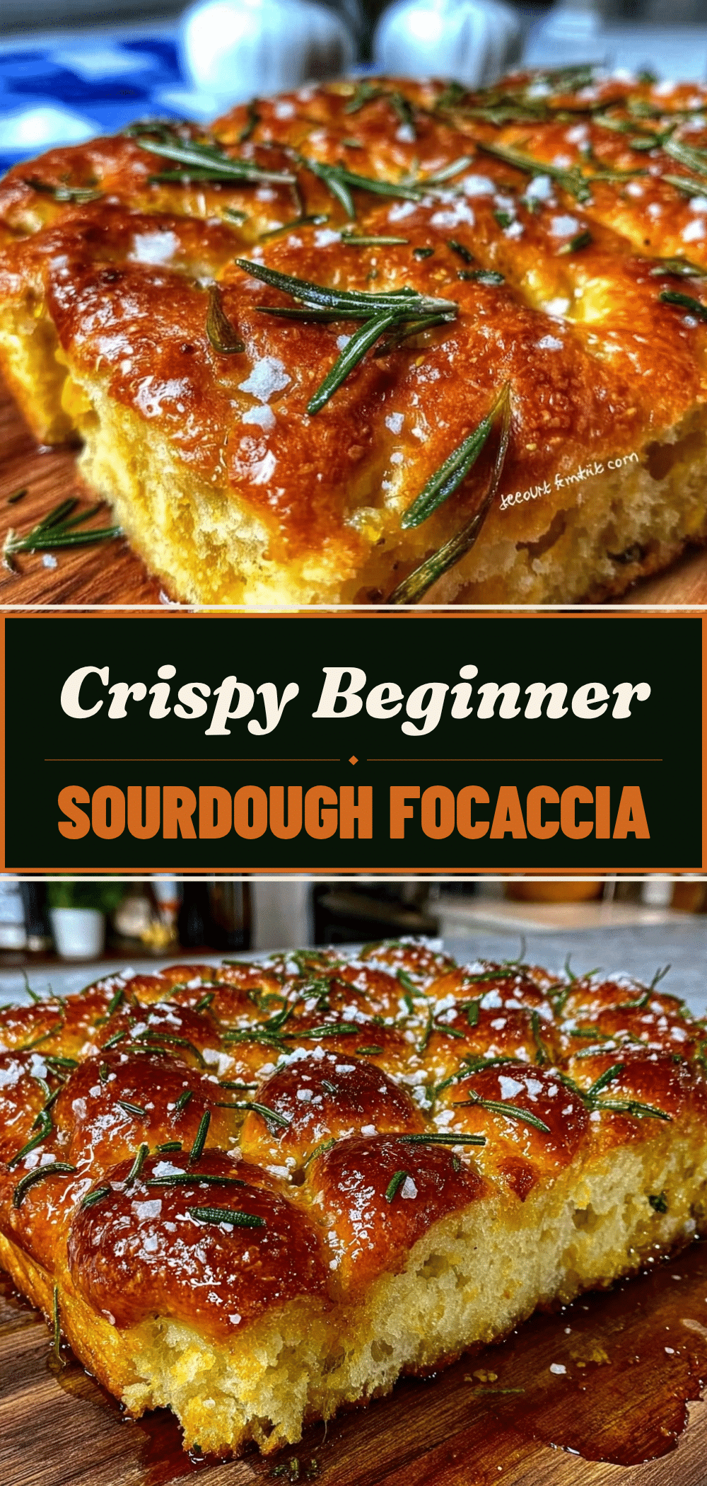 Beginner Friendly Sourdough Focaccia: Cheap Budget-Friendly Dinner 5 beginner friendly sourdough focaccia recipe