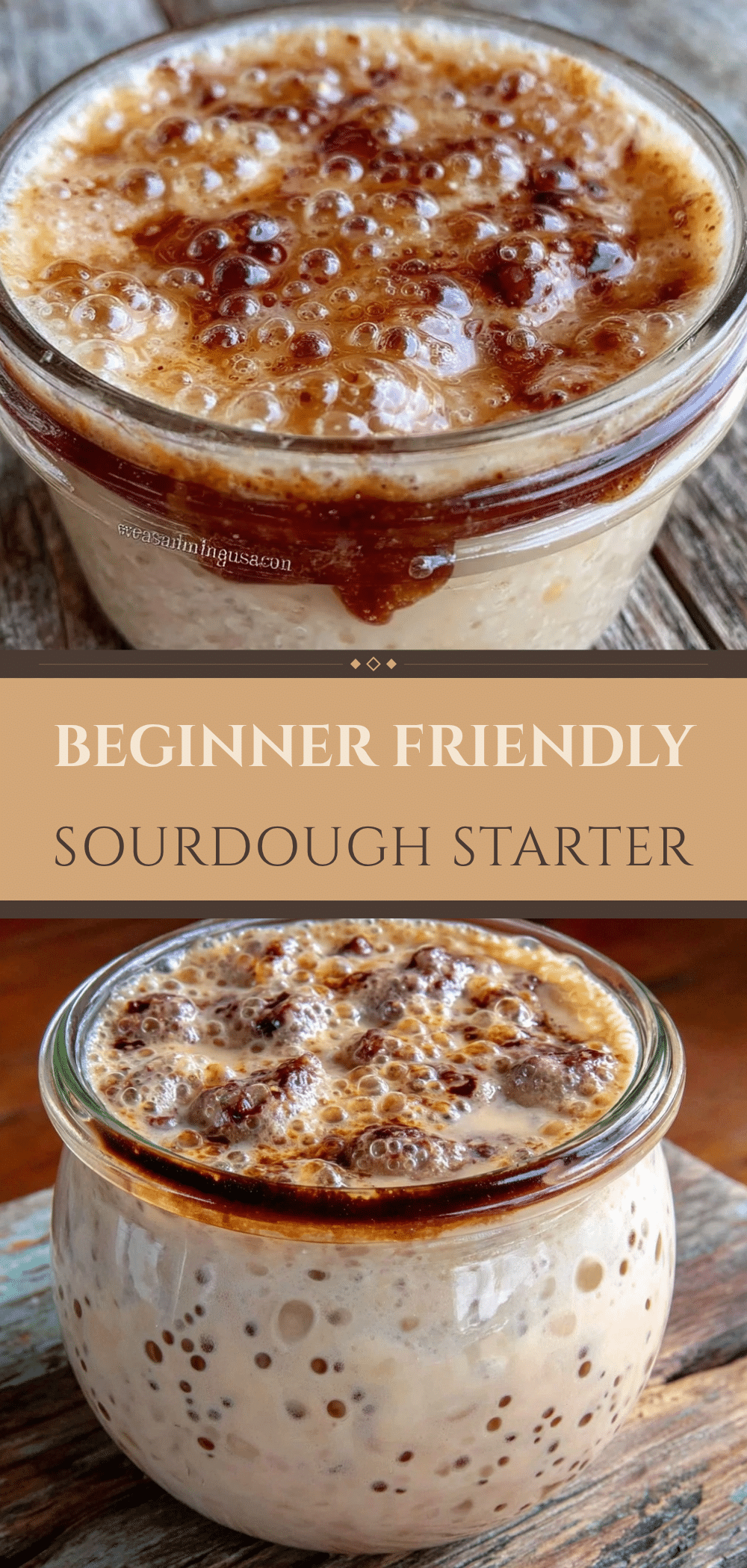 Beginner Friendly Sourdough Starter: The One Trick 5 beginner friendly sourdough starter recipe