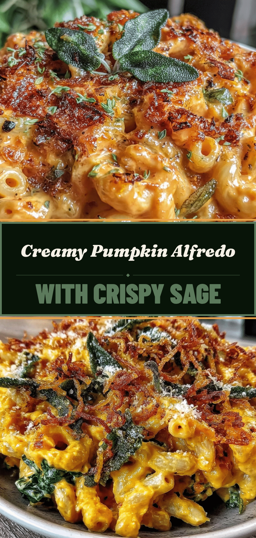 Creamy Pumpkin Alfredo Pasta: No Leftovers 5 creamy pumpkin alfredo pasta recipe