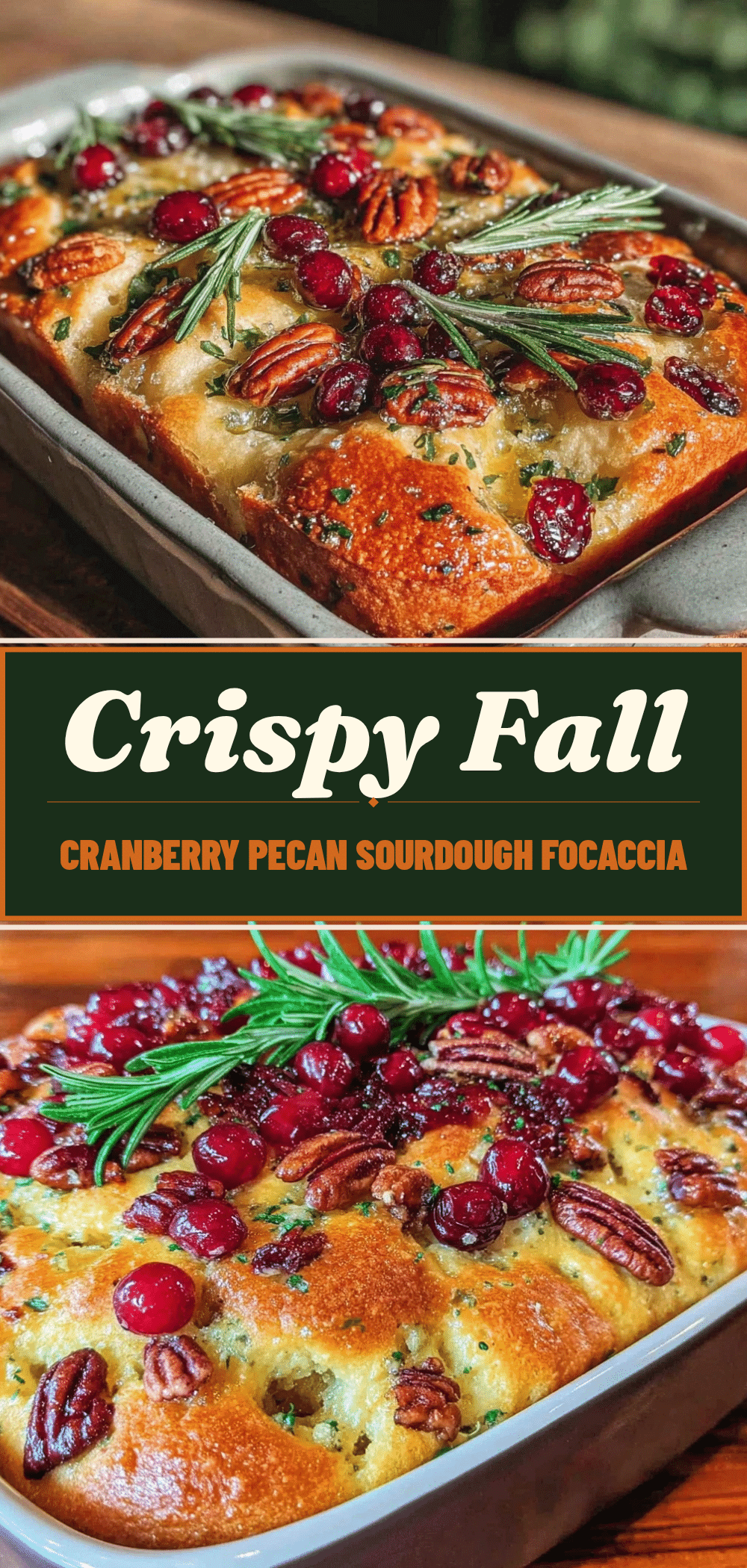 Fall Cranberry Pecan Sourdough Focaccia: Easy Baking for Kids 5 fall cranberry pecan sourdough focaccia recipe