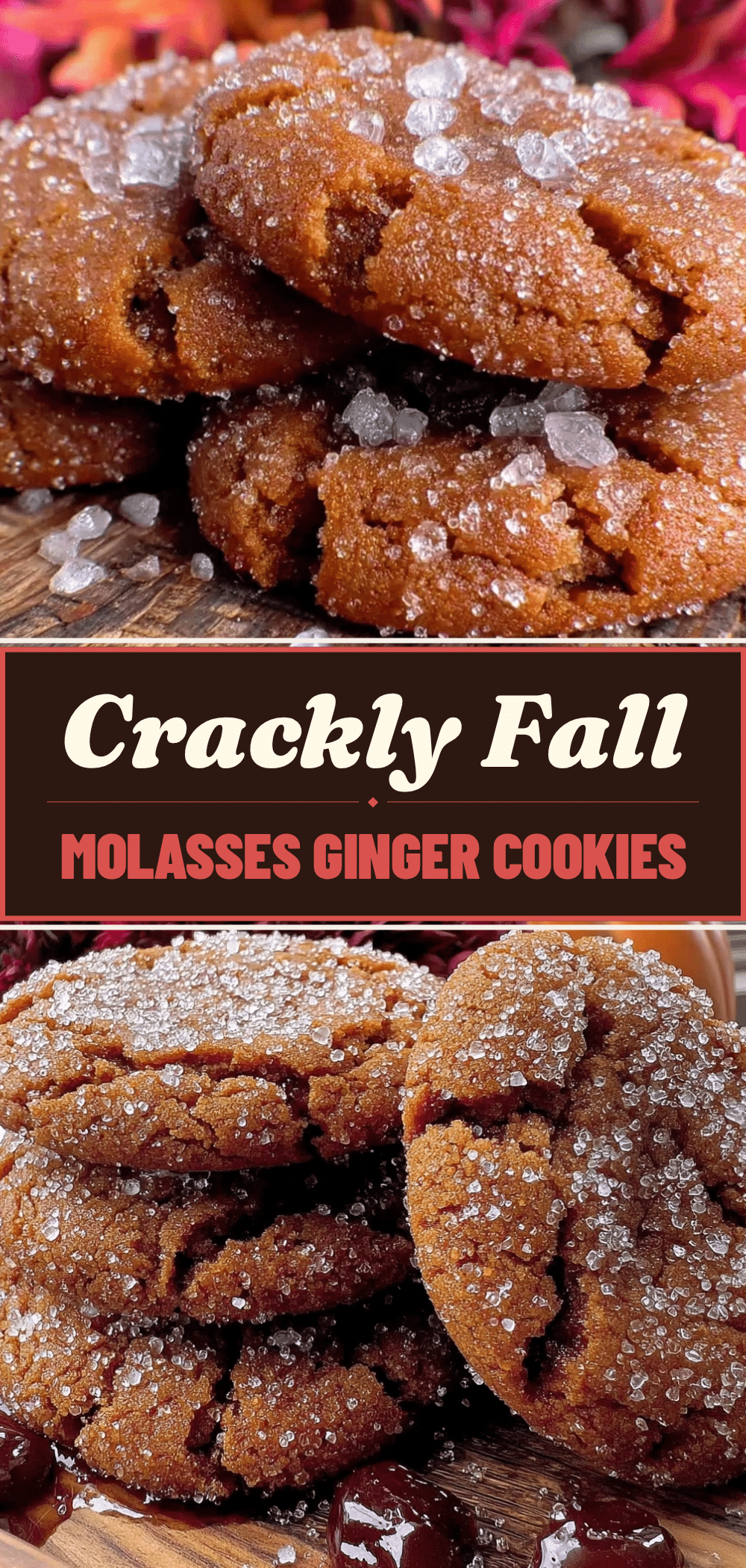 Fall Molasses Ginger Cookies: Easy 1-Bowl Sugar Cookie Recipe 5 fall molasses ginger cookies recipe