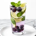 sparkling blackberry mint mojito mocktail - featured image